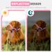 Adjustable No-Pull Muzzle Halter for Dogs - Padded Design for Comfort (Small Pink) | Weesiber - Buy Online on SooperMarket.com