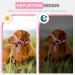 Adjustable Pink Dog Muzzle Halter for Strong Pulling - Weesiber Medium Size | No Pulling Leash Solutions - Buy Online on SooperMarket.com