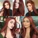 QD-Tizer 22 Reddish Brown Lace Front Wig - Long Straight, Heat Resistant, Glueless for Fashion - Buy Online on SooperMarket.com