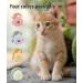 Escape-Proof Cat Harness Set for Walking Adjustable cat traction rope with backpack Kitten Harness&Lead Set Outdoor Walking Vest for Cute Cats and Small Dogs Yellow S - Buy Online on SooperMarket.com