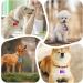 Buy Durable Aluminum Dog Tags & Trailers - 30 Pet ID Tags + 10 Chains for Dogs & Cats - Waterproof & DIY Friendly - Buy Online on SooperMarket.com