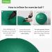Trideer Exercise Ball for Physical Therapy and Fitness - Green, L (23-26 inches) - Swiss Ball for Rehab, Core Strength, Yoga, Balance, and Flexibility - Buy Online on SooperMarket.com