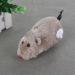 AVZYARDY Clockwork Mouse Toy Cat Plush Rat Mechanical Motion Interactive Toy(Grey) - Buy Online on SooperMarket.com