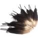 50pcs Dipped Gold & Silver 6-8 inch Goose Feathers for Crafts and Apparel - Gold & Black Feathers - Buy Online on SooperMarket.com