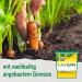 Buy Knorr Clear Soup Bouillon Purely Vegetable 1 kg Pack | International Shipping Available - Buy Online on SooperMarket.com