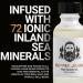 Beard Oil for Men | Softness & Control with Castor & Jojoba Oil | On the Rocks-Vanilla Pineapple Coconut | 1oz - International Shipping - Buy Online on SooperMarket.com