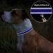 TagME Reflective Nylon Dog Collar - Adjustable Classic Collar with Quick Release Buckle - Small Size, Royal Blue - Buy Online on SooperMarket.com