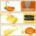 Automatic Bird Bathtub with Faucet - Ideal for Parakeets, Cockatiels, Conures, and Small Birds | SGQCAR New Orange - Buy Online on SooperMarket.com