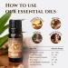Organic Ginger Essential Oil 10ml by Ecodrop - Therapeutic Grade, Cosmos Certified, Pure Ginger Root Oil for Aromatherapy with Free E-Book - Buy Online on SooperMarket.com