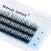 Individual Cluster Lashes C Curl 0.10mm 13mm 120Pcs Individual Cluster Eyelash Extensions Grafting Individual Lashes Clusters 3D Effect Soft DIY Lashes Cluster Eyelashes(YW-0.10-C-13) RR-13mm Clusters-YW-0.10-C