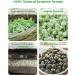 Jasmine Pearls Green Tea - Handrolled Loose Leaf with Natural Aroma - 114g/4oz - Buy Online on SooperMarket.com