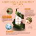 Trendyfave Snail Serum Snail Mucin Serum Nourishing Face Serum for Women Skin Repair Serum Reduce Wrinkles & Dark Spots Hydrating Firm Lift Restore Elasticity Facial Skincare - Buy Online on SooperMarket.com