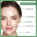 Wooden Wax Sticks Eyebrow Lip Nose Waxing Sticks Small Wax Spatulas Applicator Wood Craft Sticks for Hair Removal and Smooth Skin Spa and Home Usage (300PCS) - Buy Online on SooperMarket.com