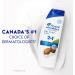Head & Shoulders Dry Scalp Anti-Dandruff 2-in-1 Shampoo + Conditioner 613ML - Buy Online on SooperMarket.com