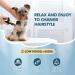 Electric Dog Clippers Cordless Dog Trimmer Low Noise | Pet Grooming Kit Rechargeable & Fast Charging Dog Grooming Clippers with 4 Combs | Professional Cat Hair Trimmer for Dogs Cats Horses Green - Buy Online on SooperMarket.com