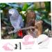 Beavorty 4 Sets Bird Leash Suspend Bird Training Bird Flying Harness Bird Harness Leashes Vest Clothing 12X6X1.3CMx4pcs Pinkx4pcs - Buy Online on SooperMarket.com