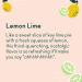 OLIPOP Lemon Lime Sparkling Tonic | Prebiotic Soft Drink with 9g Plant Fiber | Botanical-Rich & Low-Calorie | 4g Sugar per Can | Caffeine-Free & Vegan | Non-GMO | 12oz 12-Pack - Buy Online on SooperMarket.com