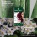 Herbatint | Hair Dye 2N Brown - Buy Online on SooperMarket.com