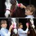 Animalon Horse Cleaning Tools for Kids | Ergonomic Pink Kard tsche | Flexible Children's Horse Brush & Gifts - Buy Online on SooperMarket.com