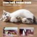 Tsathoggua 4 pcs Matatabi Silvervine Chew Sticks Natural Cat Chew Toy Catnip Toy for Cats Cat Sticks Cat Teeth Nip Cat Teeth Cleaning Kitty Dental Chew Stick Kitten Teething and Stress Release - Buy Online on SooperMarket.com