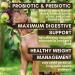 Wholistic Pet Organics Dog Probiotics & Digestive Enzymes - Immune System & Gut Health Support - Plant Based Ingredients - 8 oz - Buy Online on SooperMarket.com