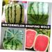 OSALADI Fruit Pumpkin Tools Watermelon Forming Molds Gardening Supplies Vegetable Stereotypes Moss 15x15cm Transparent - Buy Online on SooperMarket.com
