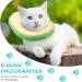 Frienda 2-Piece Adjustable Cat E-Collar | Cute Toast Neck Cone Collar for Kittens and Cats - Buy Online on SooperMarket.com