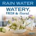 Mrs. Meyer's Clean Day Liquid Dish Soap - Biodegradable Rain Water Formula 16 fl. oz | Eco-Friendly & Effective Cleaning - Buy Online on SooperMarket.com