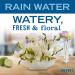 MRS. MEYER'S CLEAN DAY Liquid Dish Soap Refill - Biodegradable Rain Water 48 fl. oz - Eco-Friendly Dishwashing Solution - Buy Online on SooperMarket.com