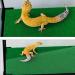 PINVNBY Reptile Carpet Lizards Bedding Pet Cage Mat Supplies Geckos Terrarium Substrate Liner for Chamelon Bearded Dragon Turtles Iguana Snakes 2PCS (green) - Buy Online on SooperMarket.com