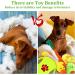 Jotol Dog Toy Set - 20PCs 100% Natural Cotton Interactive Toys for Dental Care | Best Pet Rope Toys for Small & Medium Dogs - Buy Online on SooperMarket.com