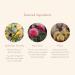 Arouse Stimulating Serum by Rosebud Woman - Enhance Sensuality | International Shipping Available - Buy Online on SooperMarket.com