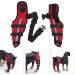 Knee Brace for Dogs ACL with Reflective Strips Knee Dislocation Arthritis Keeps The Joint Warm and Stable Extra Support Reduces Pain and Inflammation (XS) - Buy Online on SooperMarket.com