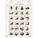 Buy A3 Scratch Advent Calendar | Unique Yoga HELL Christmas Countdown - Buy Online on SooperMarket.com