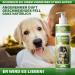 Adema Natural Petbath - Best Dog Shampoo for Itching Fleas Mites & Lice - 200ml Natural Formula for Dogs & Puppies - Buy Online on SooperMarket.com