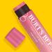 Burt's Bees Tinted Lip Balm Hibiscus - 0.15 Ounce (2 Count) | Natural Moisturizing Lip Care | International Shipping Available - Buy Online on SooperMarket.com