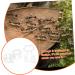 SEWOART 2pcs Ant Water Feeder Ants Ant Nest Water Feeder Ant Liquid Feeder Pet Waterer Transparent Acrylic - Buy Online on SooperMarket.com