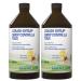 Natural Cough Syrup For Kids and Adults Cough Relief Immune System Throat and Bronchial Irritation Relief From Red Elm Extract Honey Ginger 250 ml (Pack of 2)