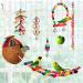 17-Piece Bird Parakeet Toy Set | Swing, Chew, Climb, Hang | Coconut Cage Toys for Cockatiels, Conures, Finches, Budgies | Lovebird Accessories - Buy Online on SooperMarket.com