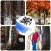 Tubes Maple Syrup Supplies 27.5 * 25 * 5cm Maple Syrup Tree Tapping Kit Maple Syrup Taps Food Grade Non-slip Tapping Kit L-shaped Tree Taps for Syrup Supplies - Buy Online on SooperMarket.com