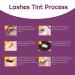 AYASAL Lash & Brow Coloring Kit | Professional Semi-Permanent 2-IN-1 Color | Long Lasting, Salon & Home Use - Buy Online on SooperMarket.com