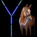 LED Horse Breastplate Collar-Best High Visibility for Horseback Riding-Adjustable-Sturdy and Comfortable Equestrian Safety Gear-for Night Horse Riding (Blue) - Buy Online on SooperMarket.com