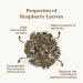 Raspberry Leaf Tea Organic 100g (50 Cups) | Rubus idaeus Pure Dried Loose Herbal Tea REPLANTEA - Buy Online on SooperMarket.com