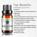 Eucalyptus Essential Oil 100% Pure Natural Aromatherapy Eucalyptus Oil for Diffuser (10ML) - Buy Online on SooperMarket.com