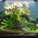 15 Inch LED Aquarium Light Submersible Crystal Glass Fish Tank Bar, IP68 Waterproof White LEDs - Buy Online on SooperMarket.com