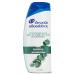 Head & Shoulders Itchy Scalp Shampoo 613ML White Blue Green 1 613 ml (Pack of 1)