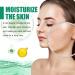 Pure Botanical Foaming Cleanser - Natural Tea Tree Extracts Centella Asiatica Extracts Soothing & Moisturising Exfoliator to Remove Pores & Blackheads (100ml) (1 piece) - Buy Online on SooperMarket.com