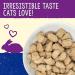 Stella & Chewy's Freeze-Dried Raw Cat Dinner Morsels Bundle | Absolutely Rabbit + Chick Chick Chicken Recipes | 16 oz - Buy Online on SooperMarket.com