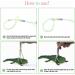 SHMLY 2-Piece Adjustable Leash & Harness for Lizards Hamsters Guinea Pigs & Small Pets - Blue & Pink - Buy Online on SooperMarket.com