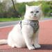Outbreak-Proof Cat Dishes with 5m Leash Set | Automatic Retractable Cat & Dog Line - Buy Online on SooperMarket.com